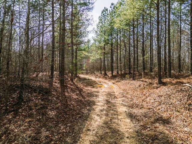 0 Sulphur Creek Road, Big Sandy, TN 38221