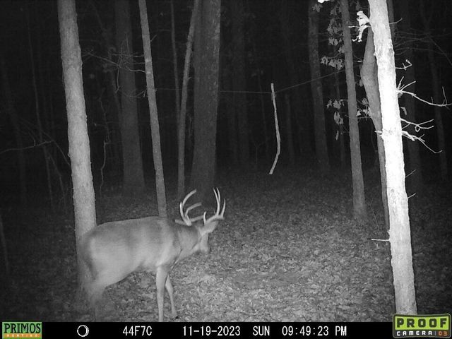 0 Sulphur Creek Road, Big Sandy, TN 38221