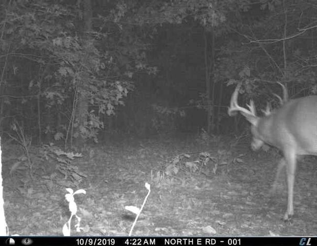 0 Sulphur Creek Road, Big Sandy, TN 38221