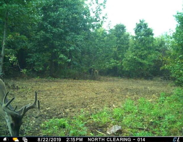 0 Sulphur Creek Road, Big Sandy, TN 38221