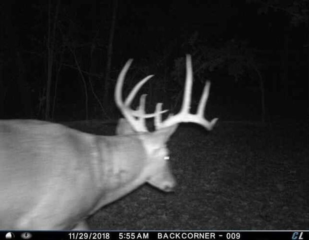 0 Sulphur Creek Road, Big Sandy, TN 38221