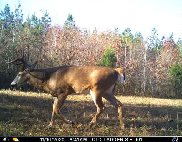 0 Sulphur Creek Road, Big Sandy, TN 38221