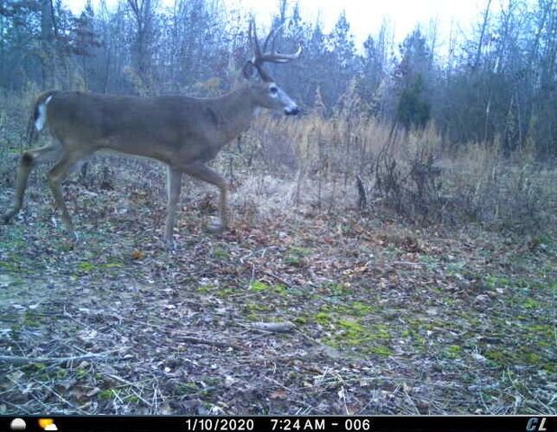 0 Sulphur Creek Road, Big Sandy, TN 38221