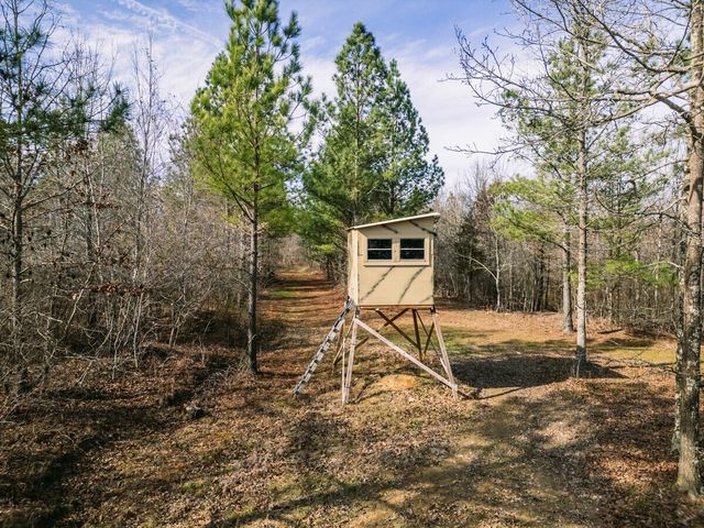 0 Sulphur Creek Road, Big Sandy, TN 38221