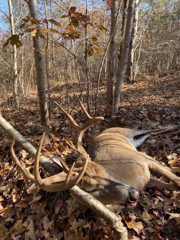 0 Sulphur Creek Road, Big Sandy, TN 38221