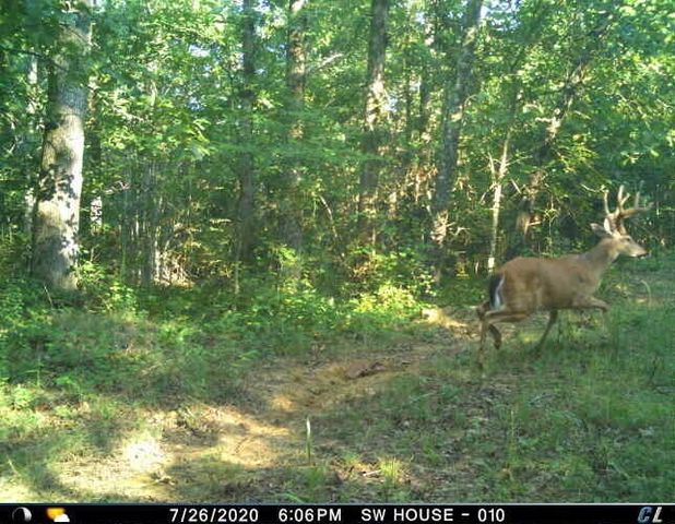 0 Sulphur Creek Road, Big Sandy, TN 38221