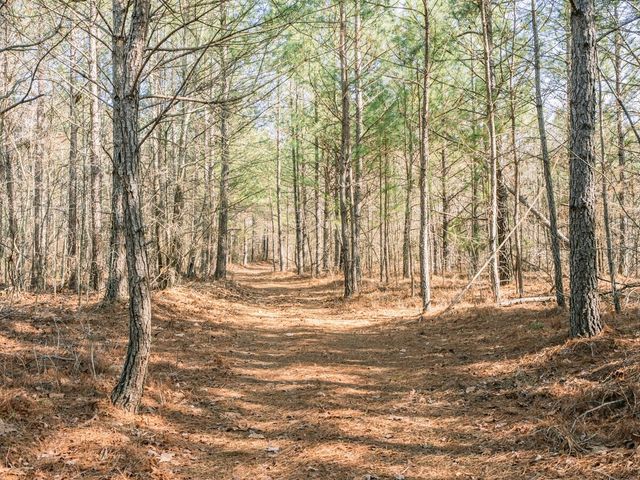 0 Sulphur Creek Road, Big Sandy, TN 38221