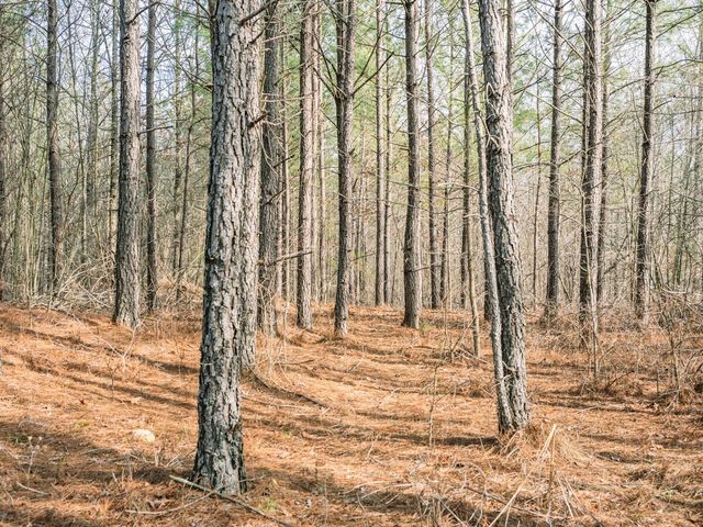 0 Sulphur Creek Road, Big Sandy, TN 38221