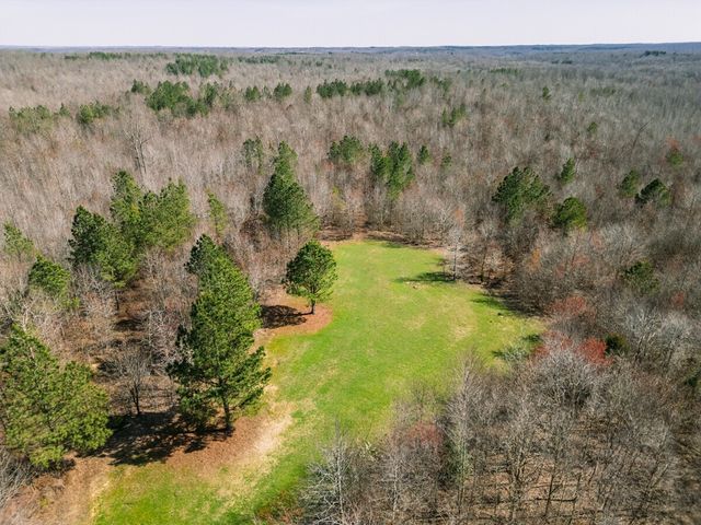 0 Sulphur Creek Road, Big Sandy, TN 38221