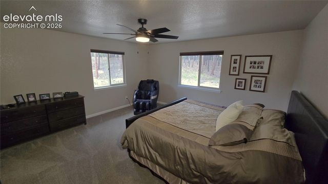 7220 McShane Road, Colorado Springs, CO 80908