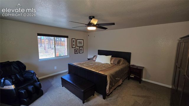 7220 McShane Road, Colorado Springs, CO 80908