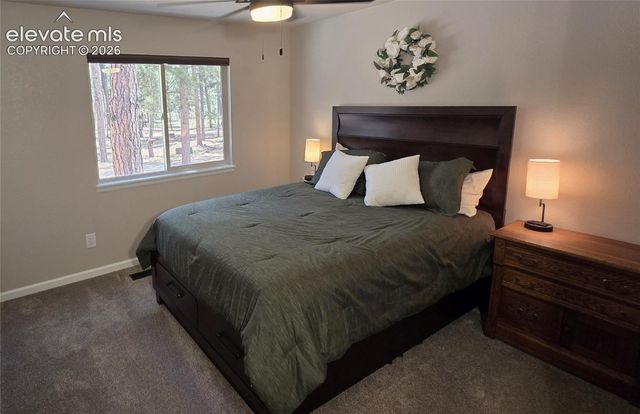 7220 McShane Road, Colorado Springs, CO 80908