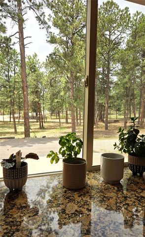 7220 McShane Road, Colorado Springs, CO 80908