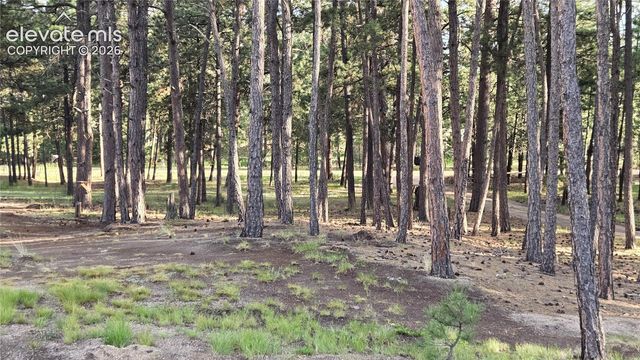 7220 McShane Road, Colorado Springs, CO 80908