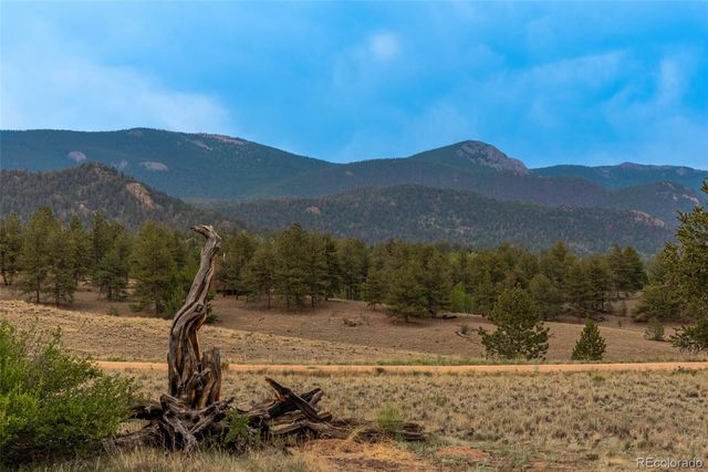 63 Rock Creek Way, Jefferson, CO 80456