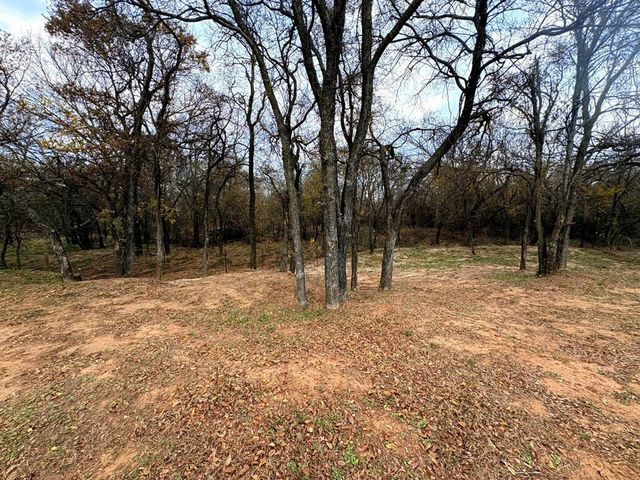 130 Trails End Circle, Millsap, TX 76066
