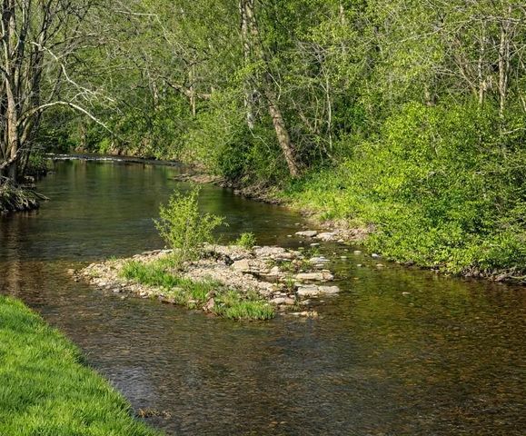 2461 Bodenham Rd, Pulaski, TN 38478