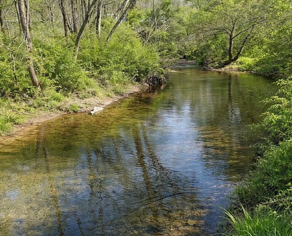 2461 Bodenham Rd, Pulaski, TN 38478