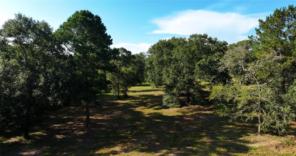 31322-1 Strathmore Road, Waller, TX 77484