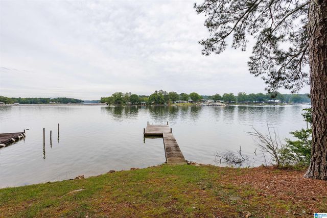 63 BROWN DRIVE, Vincent, AL 35178