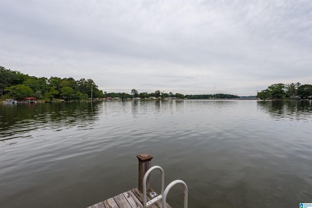 63 BROWN DRIVE, Vincent, AL 35178