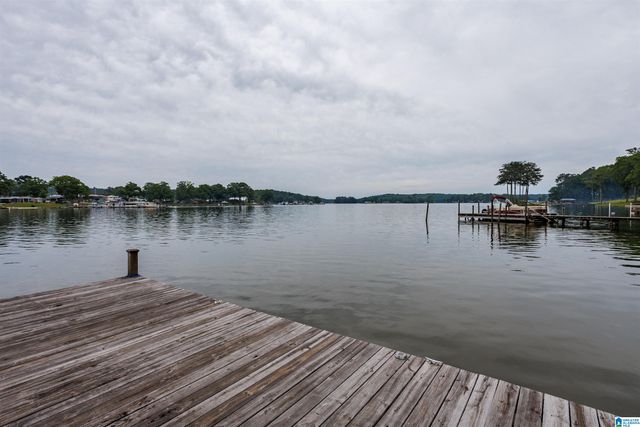 63 BROWN DRIVE, Vincent, AL 35178