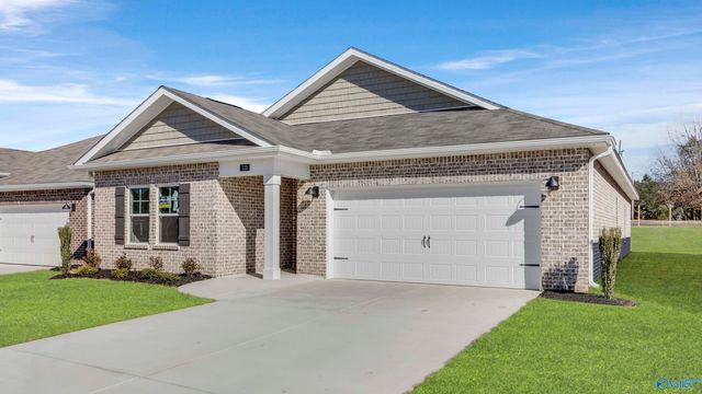 113 Cattail Court, Guntersville, AL 35976