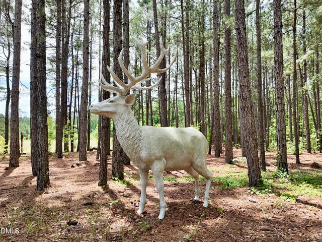 768 Bethesda Church Road, Fairmont, NC 28340