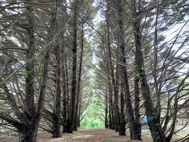 768 Bethesda Church Road, Fairmont, NC 28340