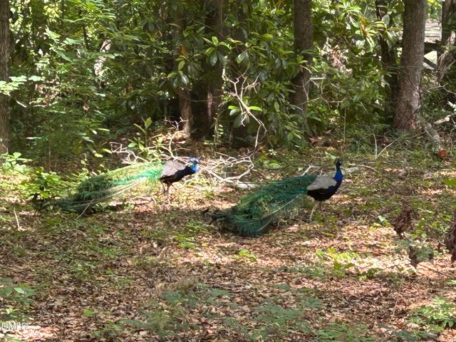 768 Bethesda Church Road, Fairmont, NC 28340