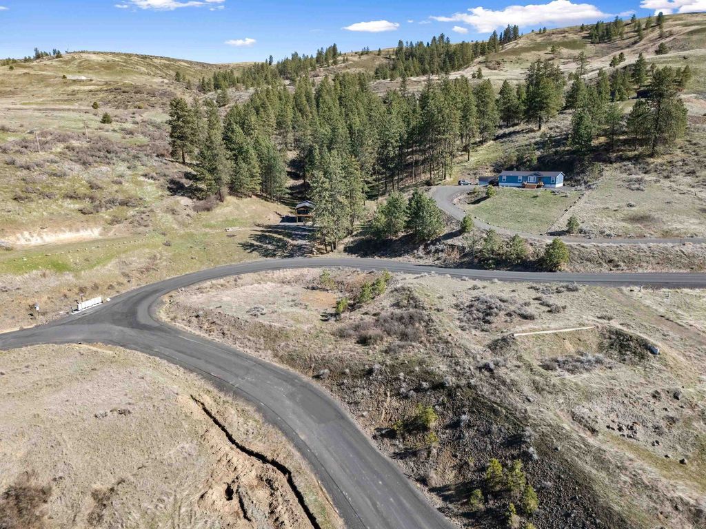 41170 Lakeview Heights Dr. N., Davenport, WA 99122 photo 5