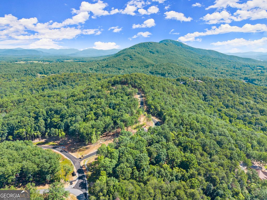 78 Chimney Oaks Trail, Cleveland, GA 30528