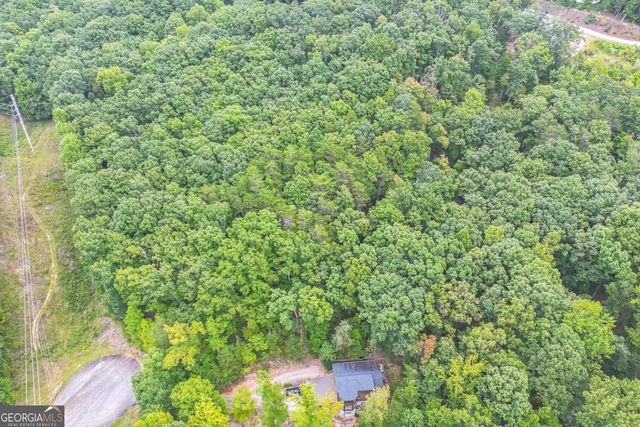 349 Turner Ridge Drive, Cleveland, GA 30528