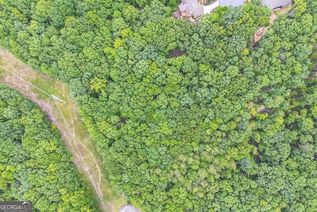 349 Turner Ridge Drive, Cleveland, GA 30528