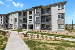 16841 Askins Loop 301, Parker, CO 80134