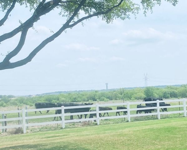 9221 Perimeter Street, Denton, TX 76207