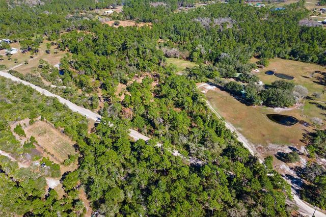 310 FAWN TRAIL, Osteen, FL 32764