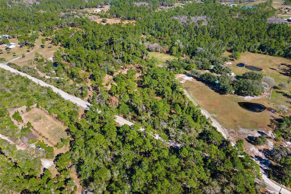 Image 4 of property listing at 310 FAWN TRAIL, Osteen, FL 32764