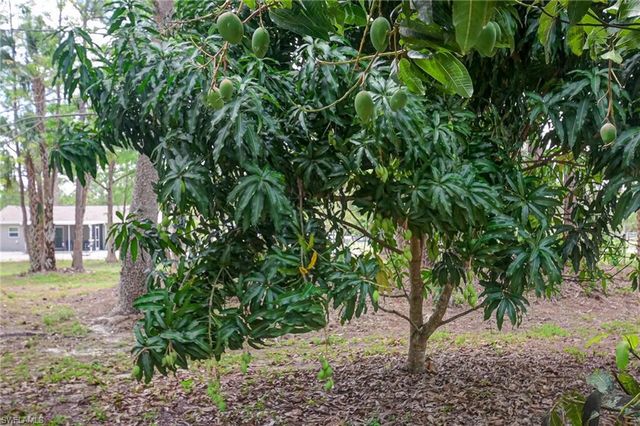 1221 22nd AVE NE, Naples, FL 34120