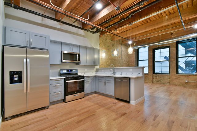 11 E Illinois Street 203, Chicago, IL 60611