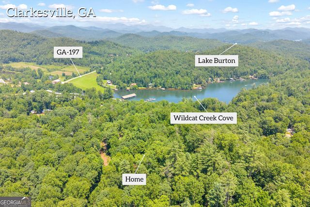 185 Pope Dickson Lane, Clarkesville, GA 30523