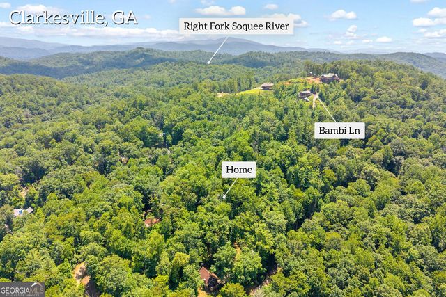 185 Pope Dickson Lane, Clarkesville, GA 30523
