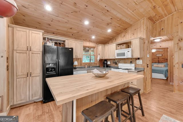 185 Pope Dickson Lane, Clarkesville, GA 30523