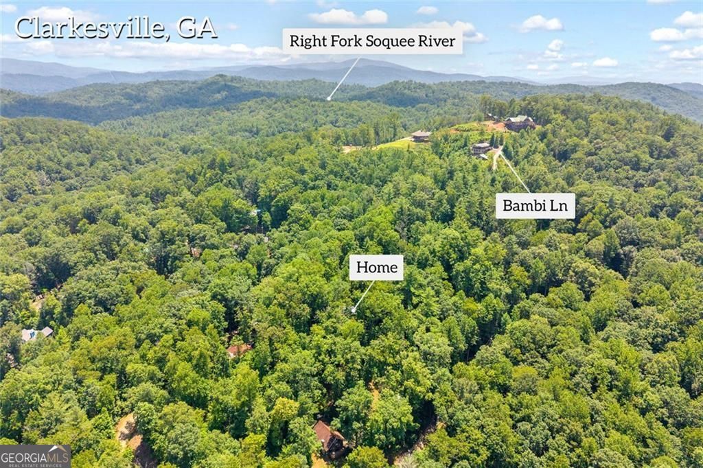 185 Pope Dickson Lane, Clarkesville, GA 30523 — photo 3