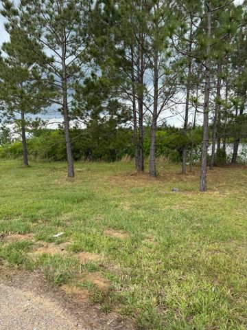 12 Paddle Point, Lumberton, MS 39455