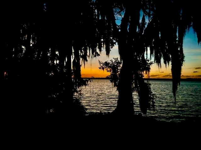 123 Esperanza Grove Rd, East Palatka, FL 32131