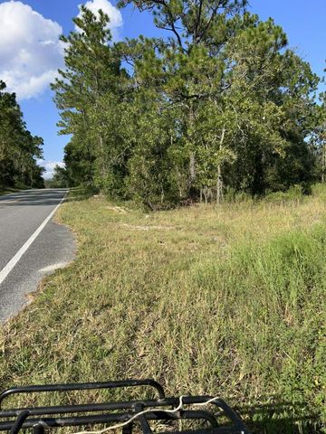 103 LEE DR, Hawthorne, FL 32640