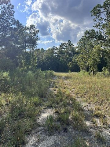 103 LEE DR, Hawthorne, FL 32640