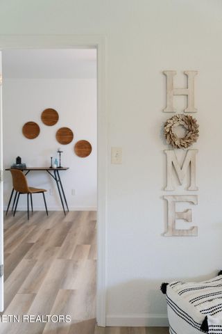 9316 Number Four Drive, Mascot, TN 37806