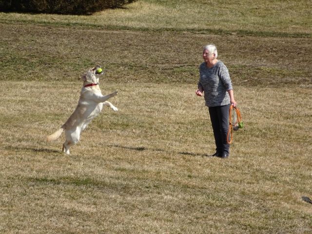 228 Cushing Road A, Newmarket, NH 03857